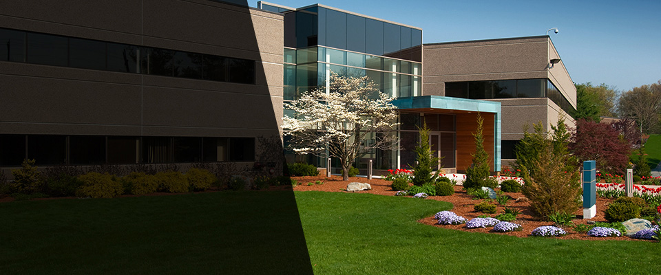 Mickleton Landscapers